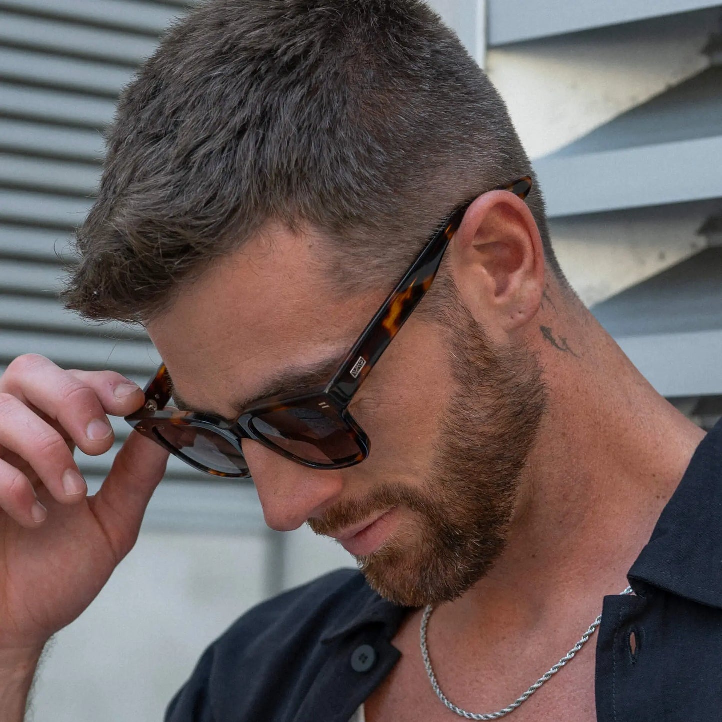 Brown Tortoise / Gradient Brown Lens