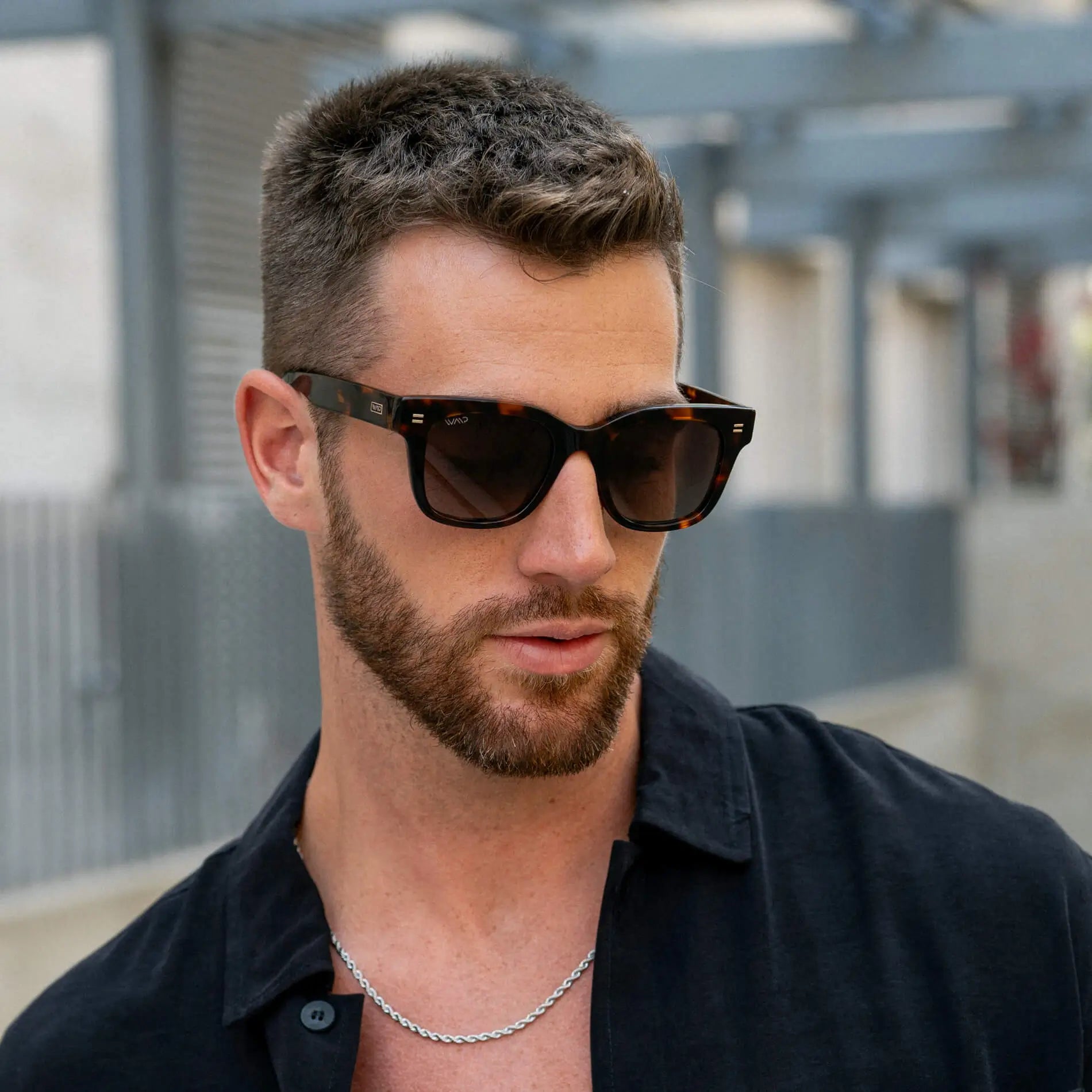 Brown Tortoise / Gradient Brown Lens