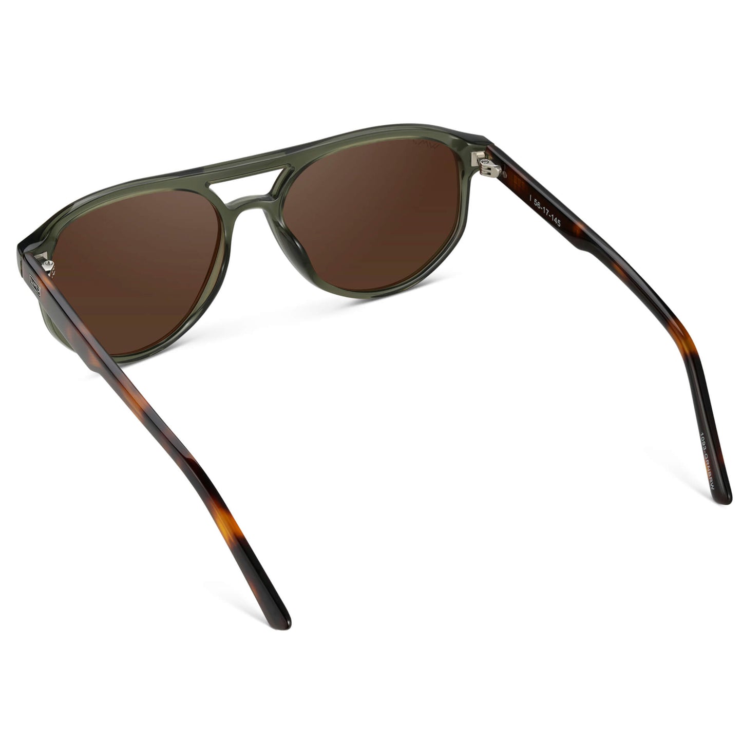 Tortoise Sage / Brown Lens