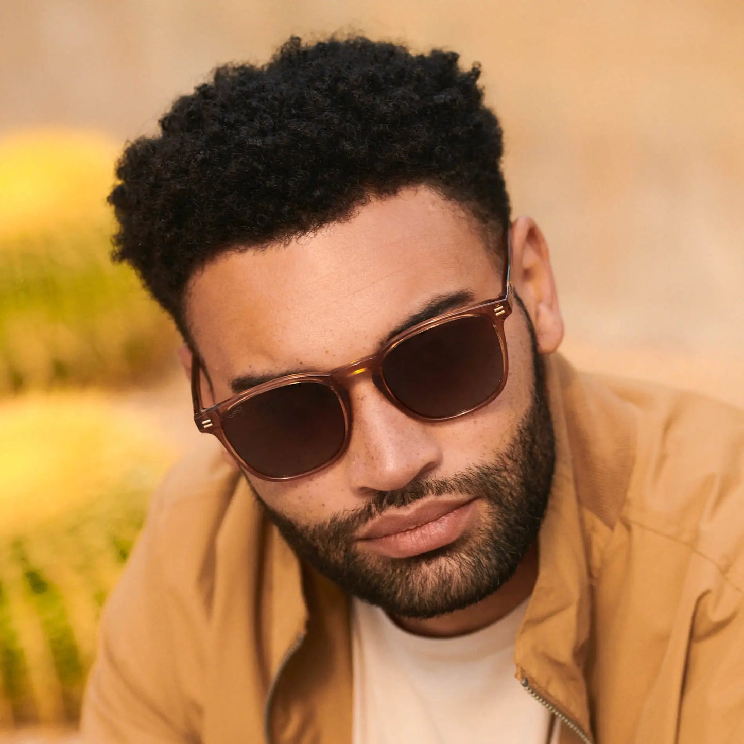 Crystal Brown / Brown Gradient Lens || Men's Clear Brown Square Sunglasses with Brown Polarized Lenses