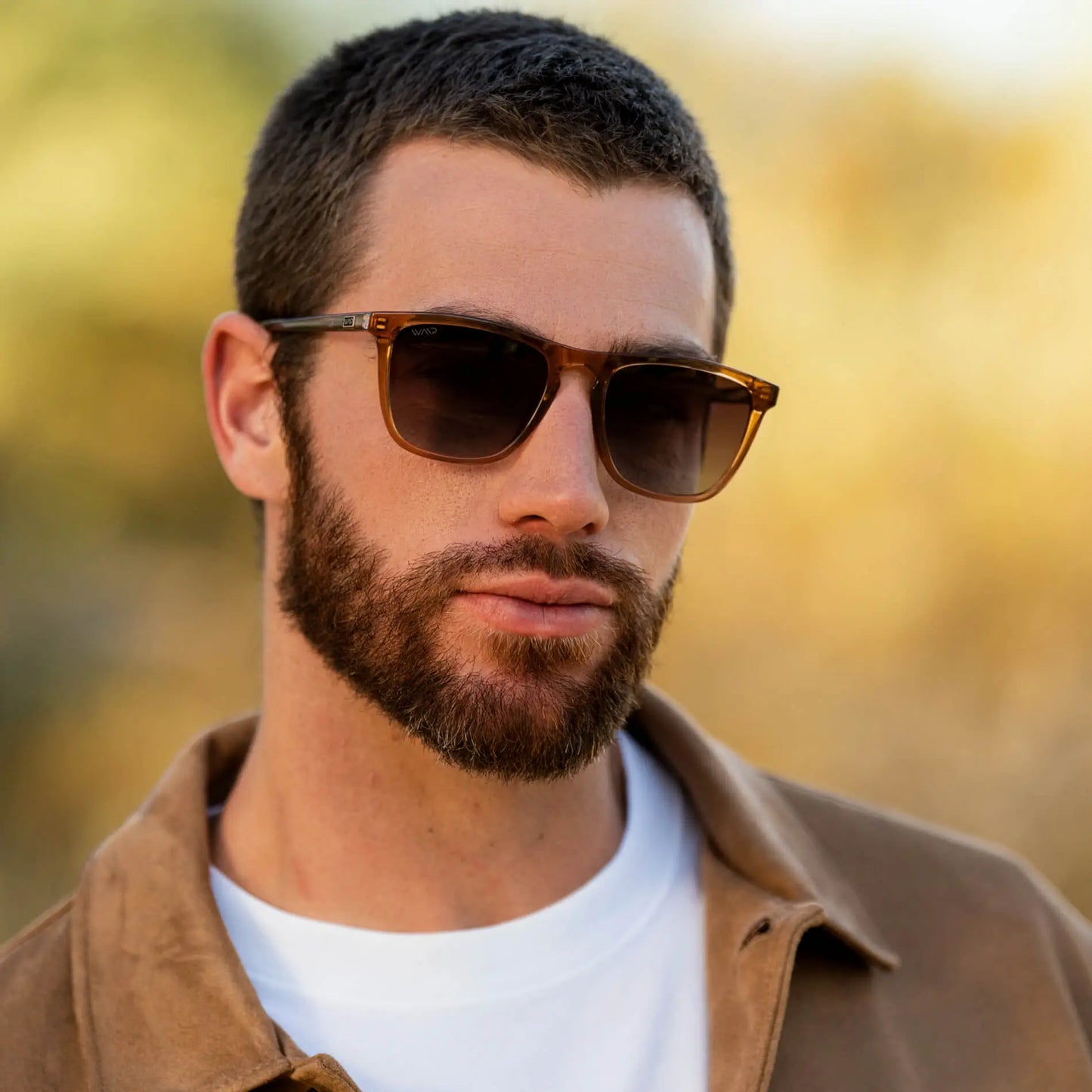 Crystal Brown / Brown Gradient Lens || Brown Classic Square Frame Sunglasses with Brown Polarized Lenses