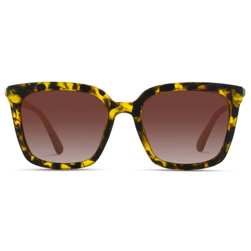 Madison | Polarized - Soft Tortoise / Gradient Brown Lens