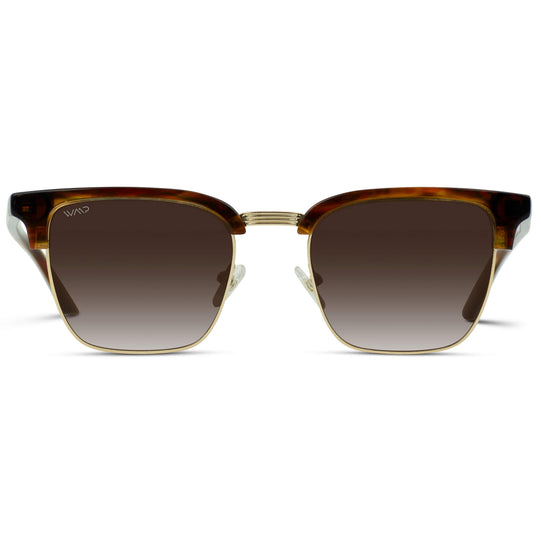 Mesquite Tortoise / Gradient Brown Lens