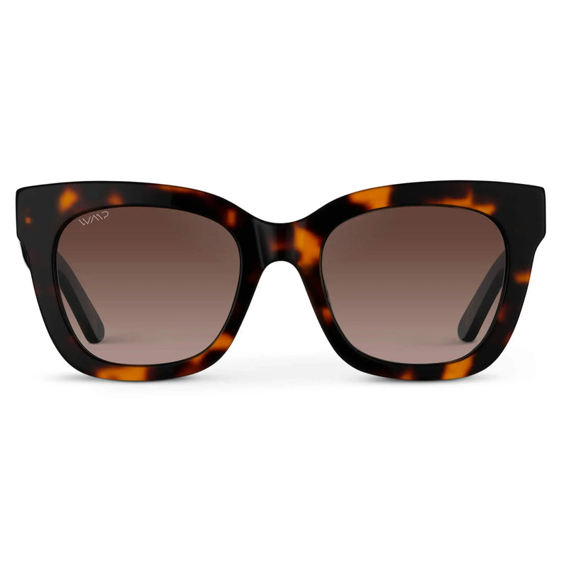 Stormi | Polarized - Tortoise / Brown Lens