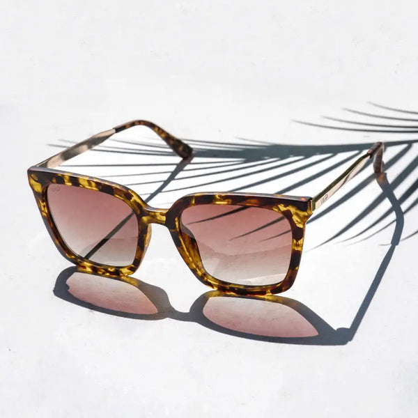 Madison | Polarized - Soft Tortoise / Gradient Brown Lens