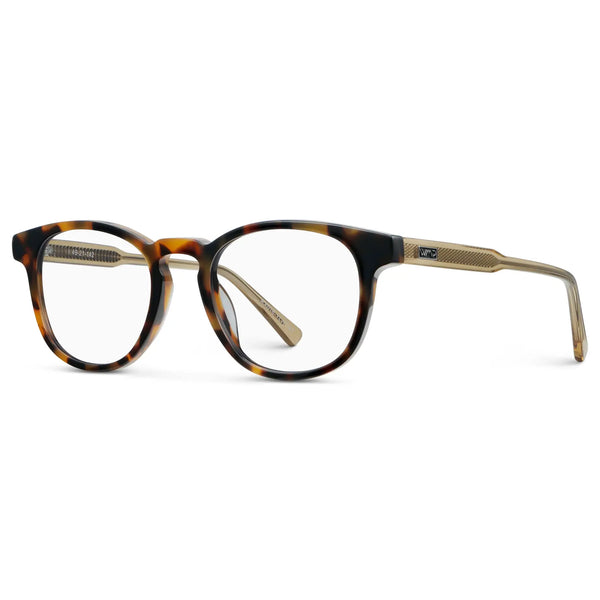 Cal | Blue Light - Autumn Tortoise