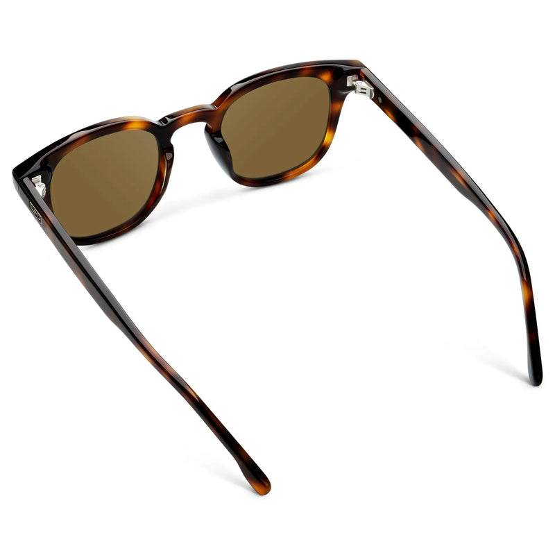Clark | RX - Brown Tortoise / Amber