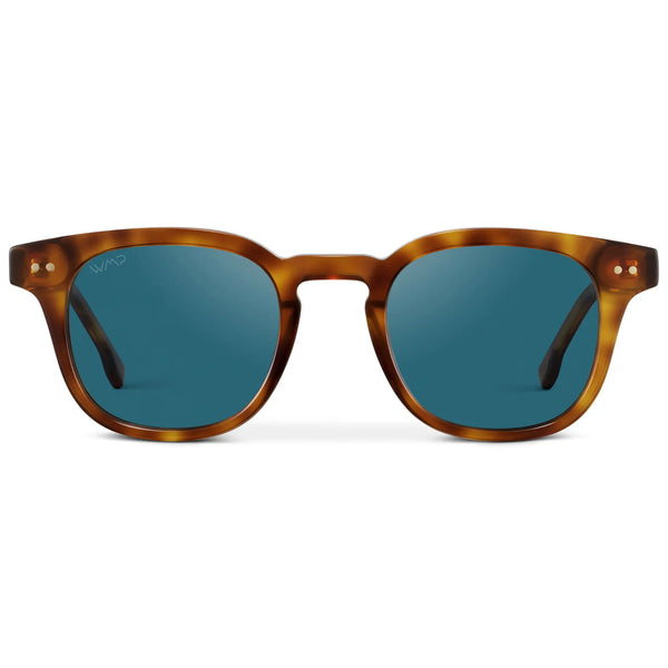 Clark | Polarized - Saddlewood Tortoise / Laguna Blue Lens