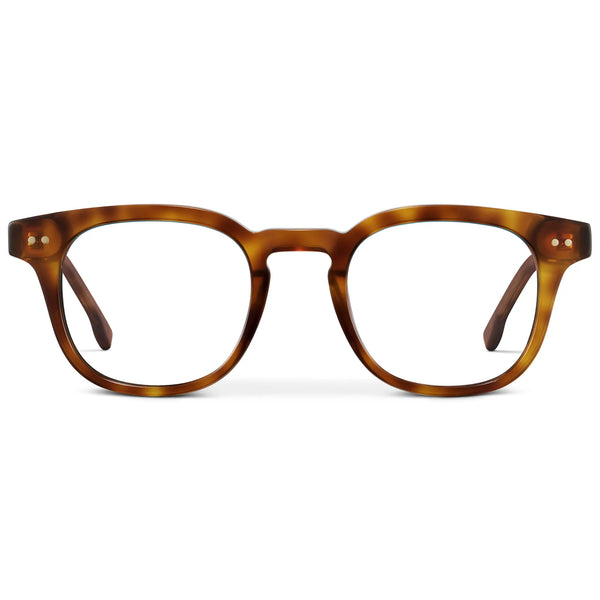 Clark | RX - Saddlewood Tortoise