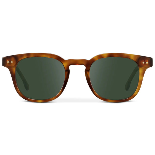 Clark | RX - Saddlewood Tortoise / G15