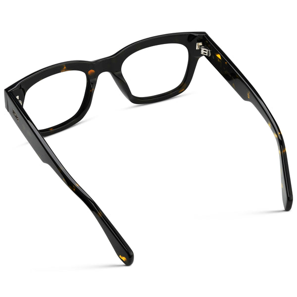 Clint | RX - Obsidian Gold Tortoise