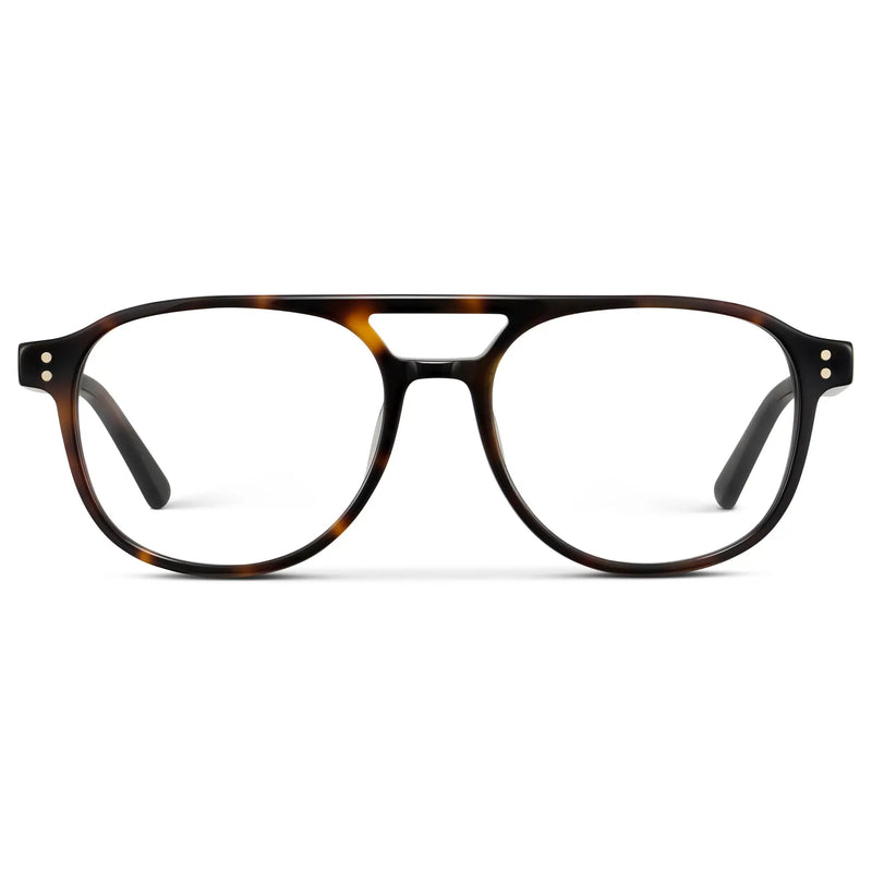 Dane | Blue Light - Brown Tortoise