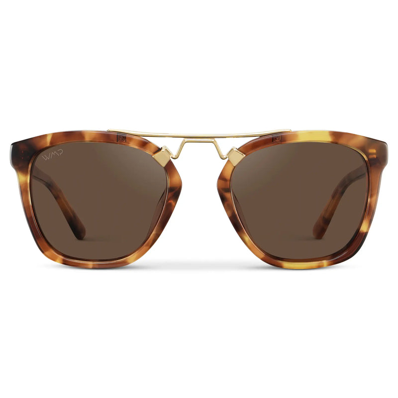 Demi | Polarized - Honeycomb Tortoise / Brown Lens