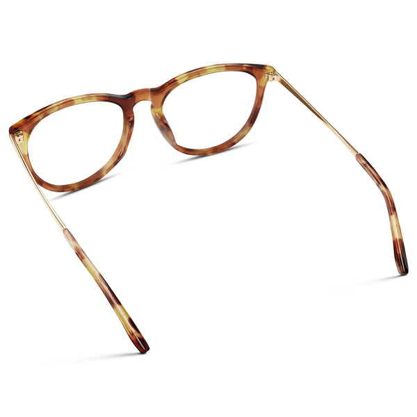 Drew | RX - Maple Tortoise