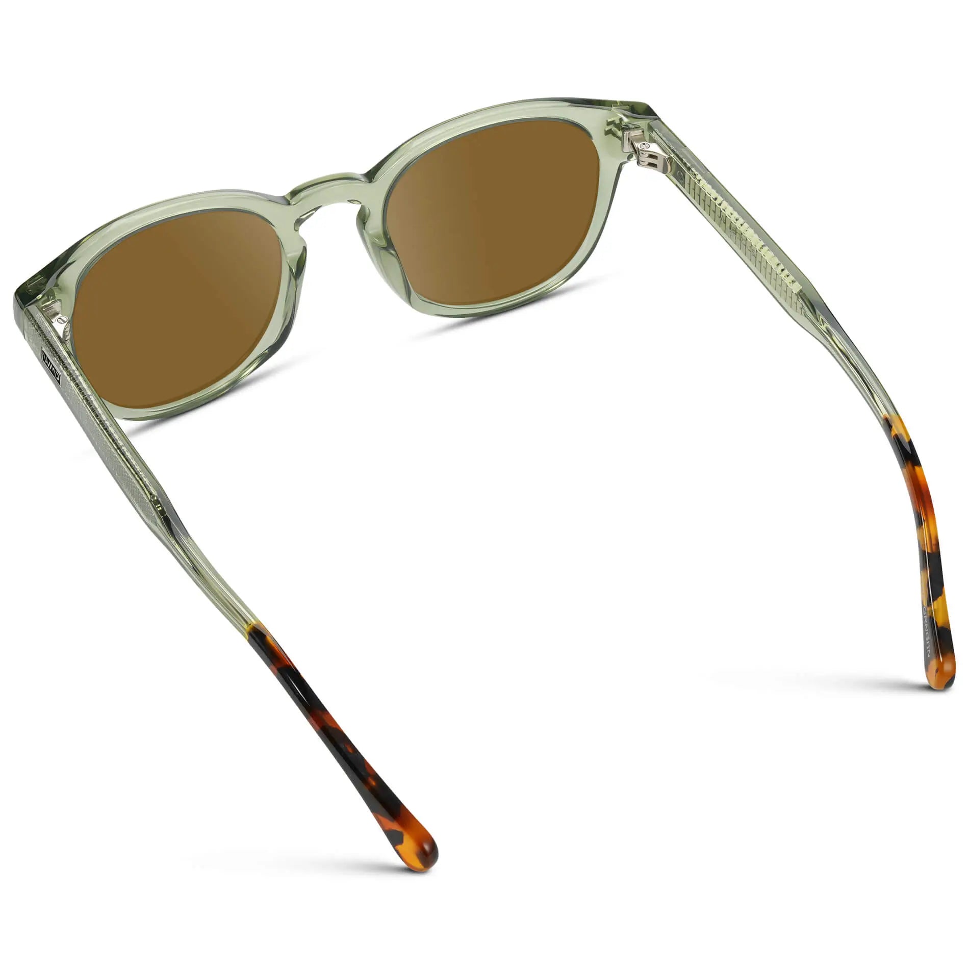 Palm Green / Amber || Back view of Men's Retro-Inspired Round Prescription Sunglasses with Palm Green Acetate Frame and Brown Prescription Lenses