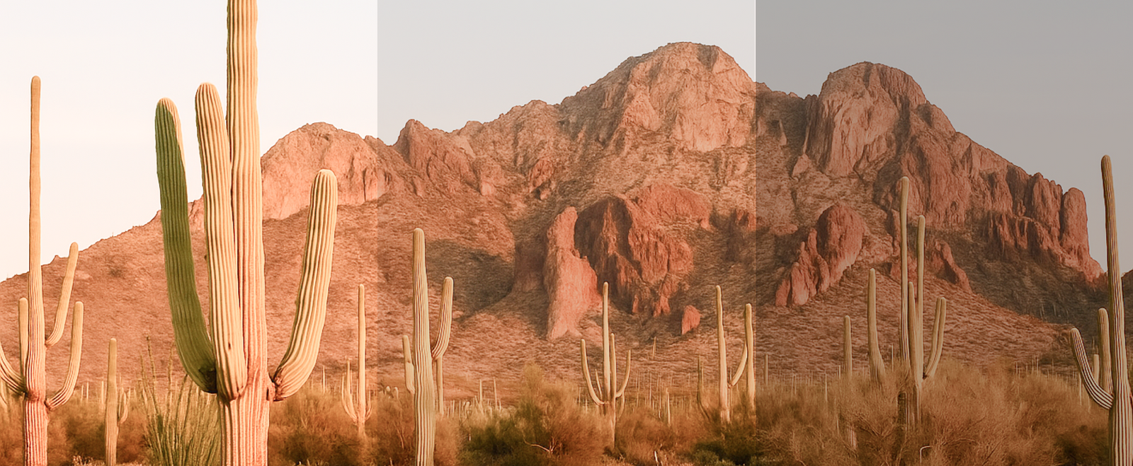 Comparison of Signature, Performance, and Precision lens tints