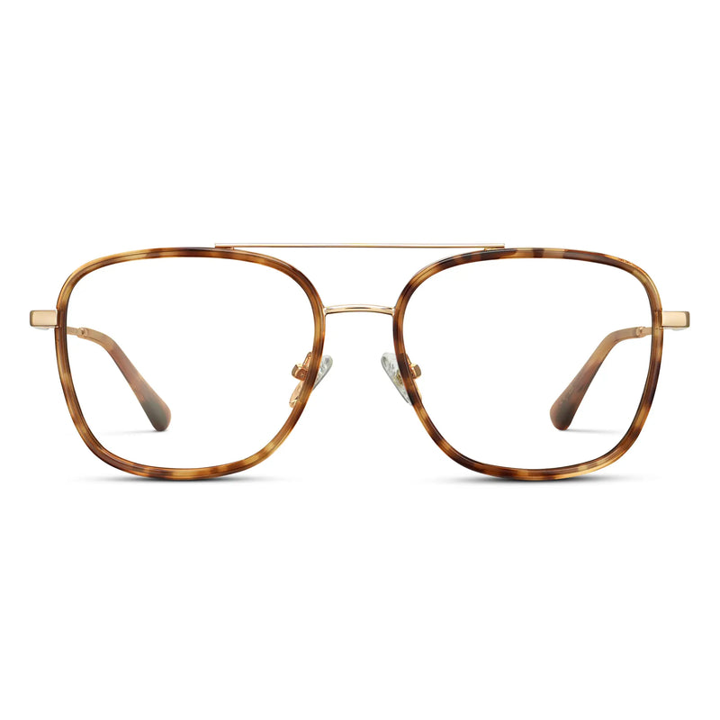 Gia | RX - Honeycomb Tortoise