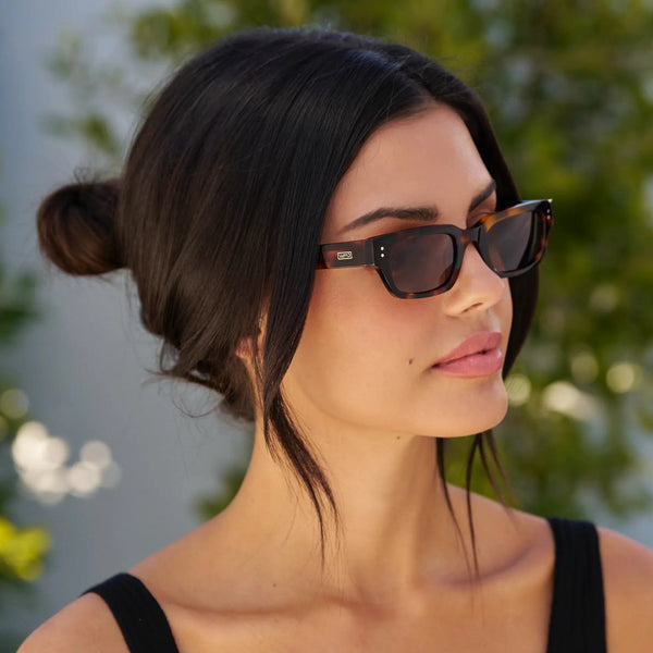 Harper | Polarized - Brown Tortoise / Brown Lens