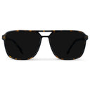 Harvey | Polarized