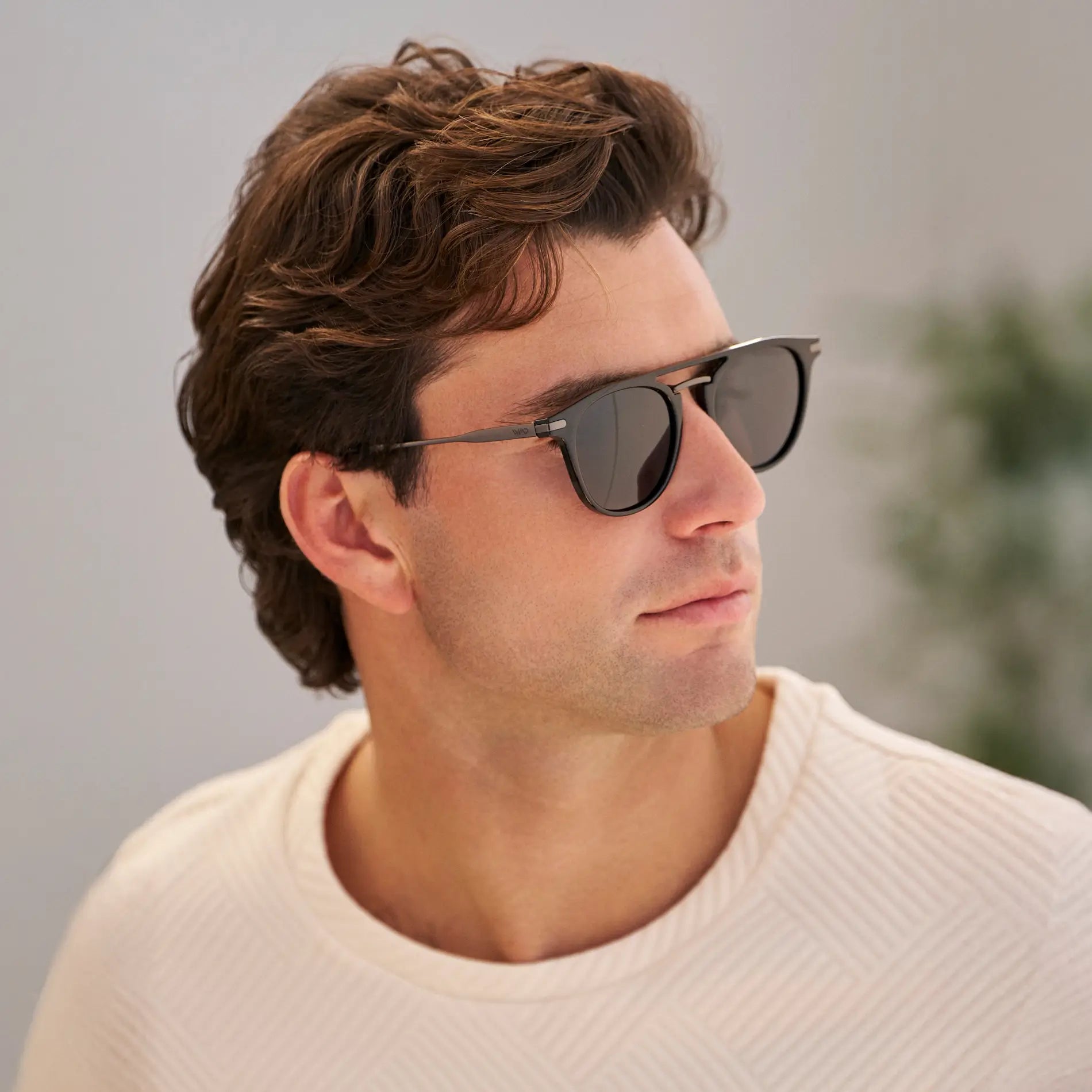Hayes | Polarized