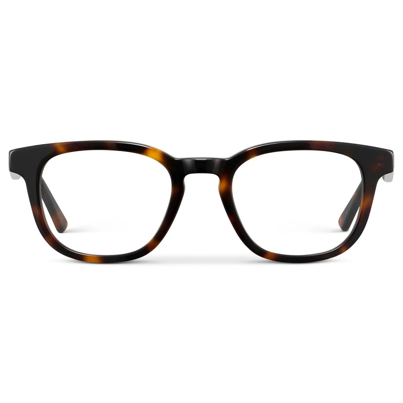 James | Blue Light - Brown Tortoise
