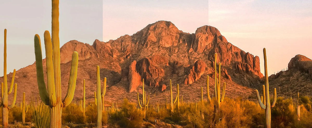 Comparison of Signature, Performance, and Precision lens tints