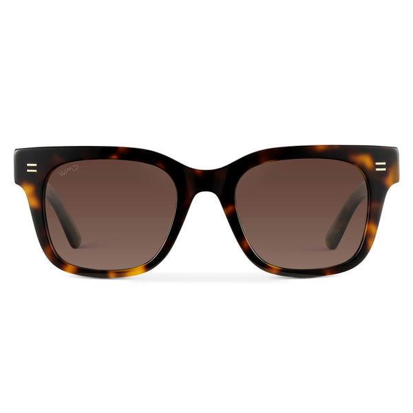 Nash | Polarized - Brown Tortoise / Gradient Brown Lens