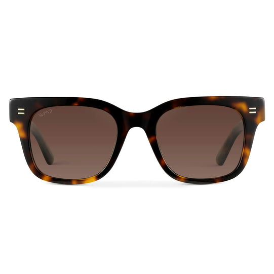 Brown Tortoise / Gradient Brown Lens