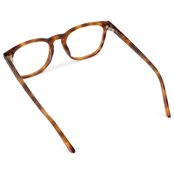 Nick | RX - Saddlewood Tortoise