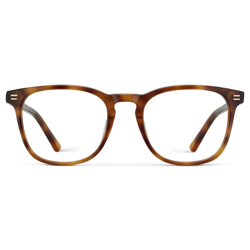 Nick | RX - Saddlewood Tortoise
