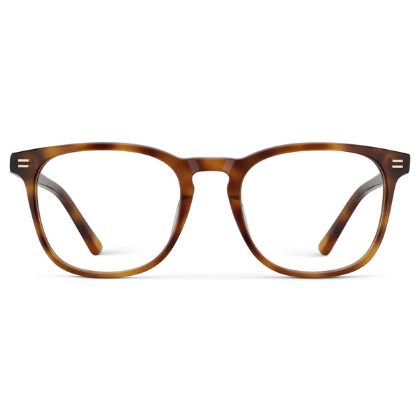 Nick | RX - Saddlewood Tortoise