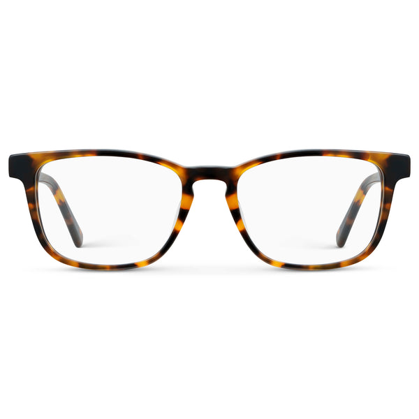 Robin | Blue Light - Autumn Tortoise