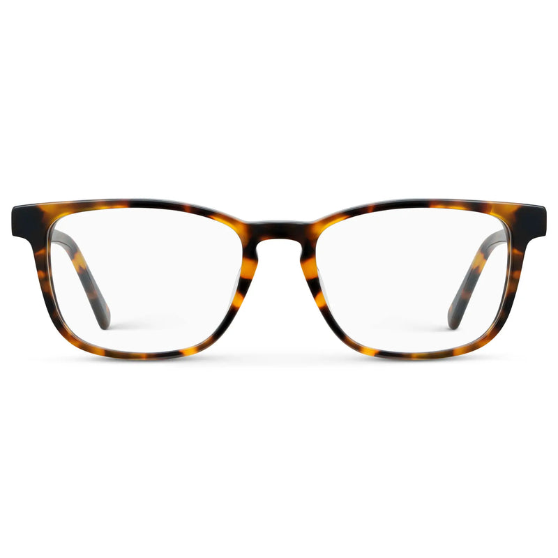 Robin | Blue Light - Autumn Tortoise