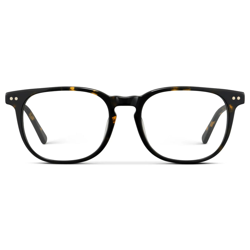 Shane | Blue Light - Obsidian Gold Tortoise