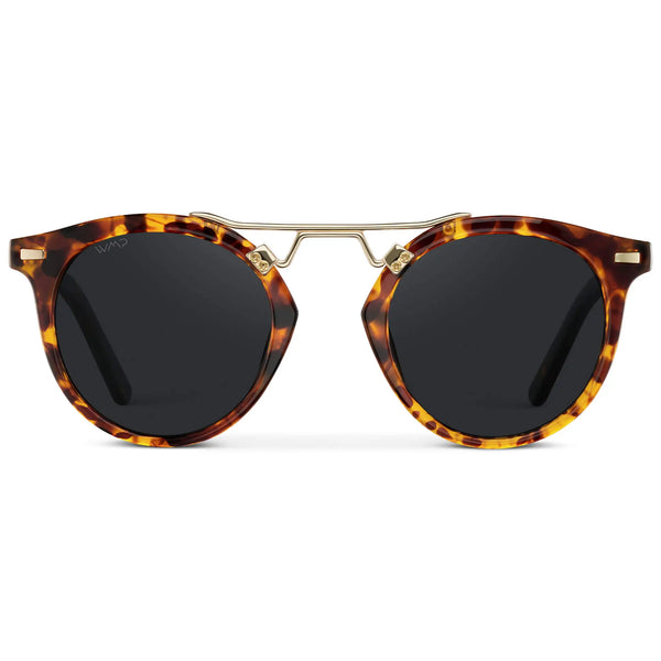 Skyler | Polarized - Tortoise / Black Lens