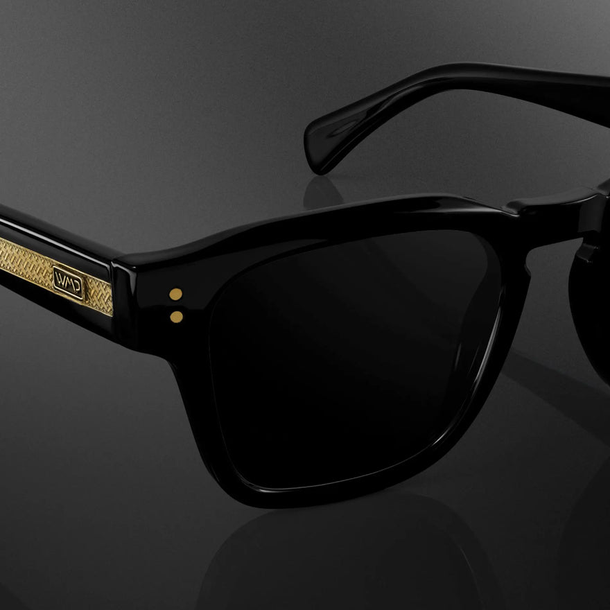 Wayne | Polarized