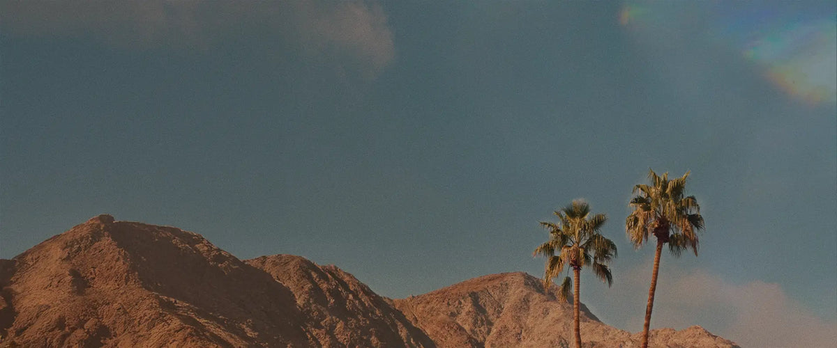 Sunlit desert mountains with two tall palm trees beneath a clear blue sky.