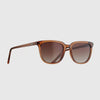 Crystal Brown / Brown Gradient Lens || Brown Square Frame Sunglasses with Brown Polarized Lenses