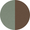 Agave Green / Brown Lens