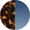 swatch-brown-tortoise-blue-gradient.png