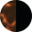 swatch-matte-black-tortoise-triple-black.png