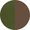 Olive Green / Brown Lens