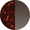 Ruby Tortoise / Brown Gradient Lens